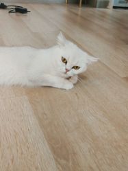 -熙画美上门MakeUp美甲美睫