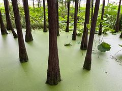 -云龙湖旅游景区