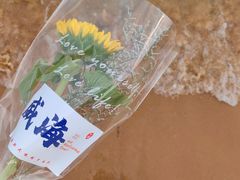 -威海国际海水浴场旅游区