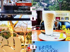 -COSTA COFFEE(西湖天地店)