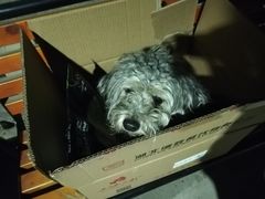 -霍元甲烧烤(江城商务大楼店)