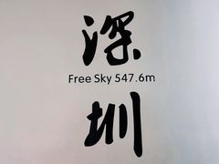 -平安金融中心云际观光层