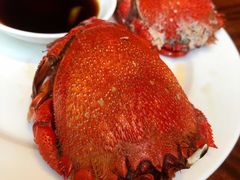 -济南喜来登酒店-盛宴自助西餐厅·综合自助