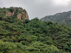 -大岭沟猕猴桃谷风景区