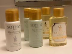 -京都全日空皇冠假日酒店