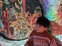 -沈阳海洋探索中心