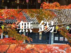 -惠山古镇·寄畅园