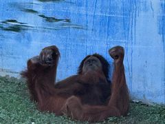 -西霞口神雕山野生动物世界