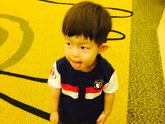 -新加坡瑞士史丹福酒店