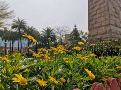-映月湖公园