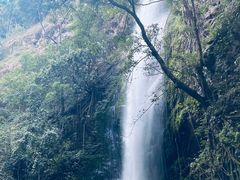 -莫里热带雨林景区