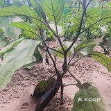 北京郊区好玩小众景点｜世外桃源人间仙境