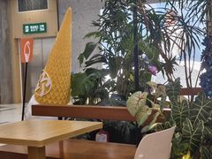 -野人先生Gelato(上海长宁龙之梦店)