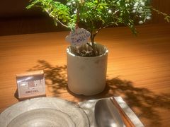 -CURRY YA 熟成咖哩專門店(深圳湾万象城店)