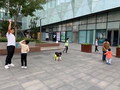 -远洋未来汇