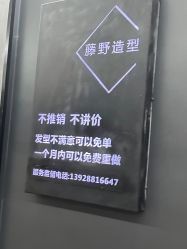 -藤野造型