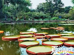 -国家植物园南园