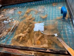 -黑金·寻焰自助百汇·烤肉·火锅(中街店)
