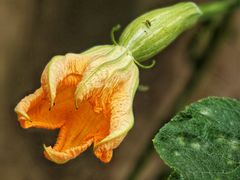 -敬亭山风景名胜区