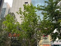 -囍凤楼·粤菜·点心·火锅(温特莱店)