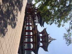 iphone_upload_pic-龙舟池