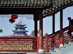 -上海海湾国家森林公园