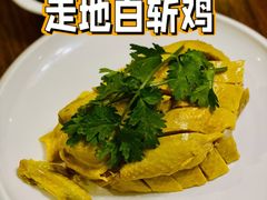 -乔家栅(襄阳南路店)