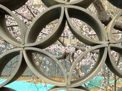 -春风习习