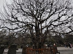 -都江堰景区