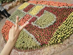 -南通洲际绿博园