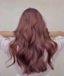 -施华蔻美发连锁