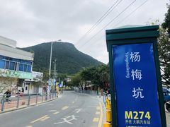 -杨梅坑