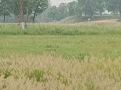 -汉长安城未央宫国家考古遗址公园