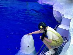 -秦皇岛乐岛海洋王国