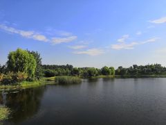 -东郊湿地公园