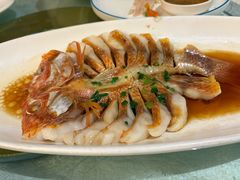 -全聚德(上海首店浦东店)