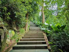 -火炉山森林公园