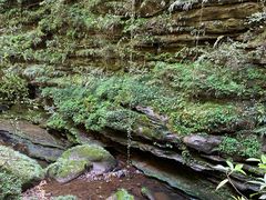 -中国大熊猫保护研究中心雅安碧峰峡基地