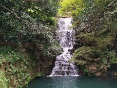 -十八棵（老龙井）御茶园(老龙井店)