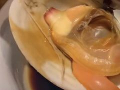 -金海湾海鲜总店