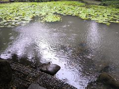 -杭州黄龙洞