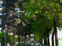 -汉长安城未央宫国家考古遗址公园