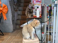 -阿姨牛杂(北京路店)