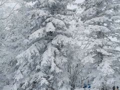 -大顶子山温泉旅游区