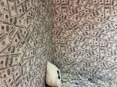 -不可思议减压馆·解压博物馆·摔碗发泄·团建定制