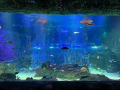 -沈阳海洋探索中心