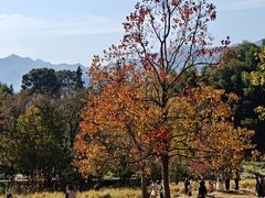 -塔川景区