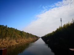 -黄海国家森林公园