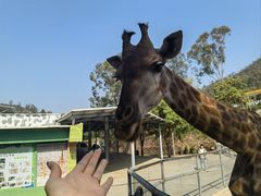 -泉州海丝野生动物世界