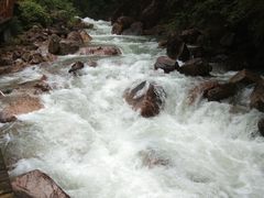 -九龙江国家森林公园